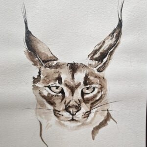 Caracal
