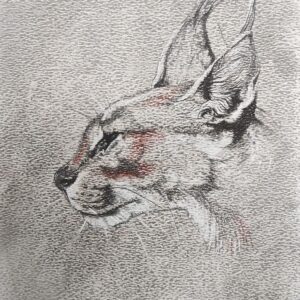Caracal Dream
