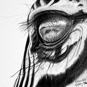 Gazing while Grazing