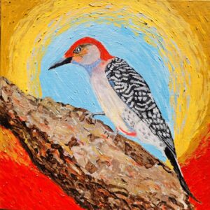 Red Bellied Woodpecker