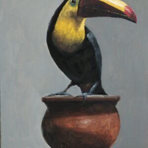Toucan