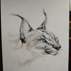 The Long Stare