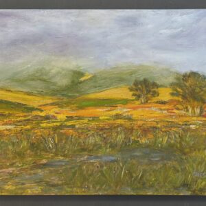 Winter Fields