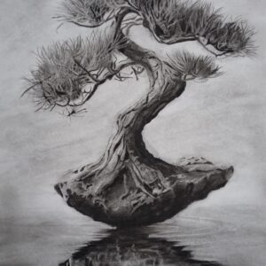 Balance