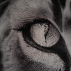 Inner Wild
