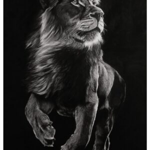 Lion of Shadows