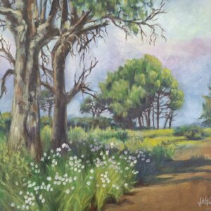 Landscape with Cosmos