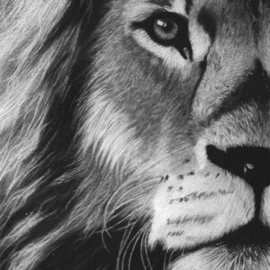 Mighty Lion