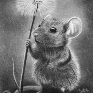 Rainy Day