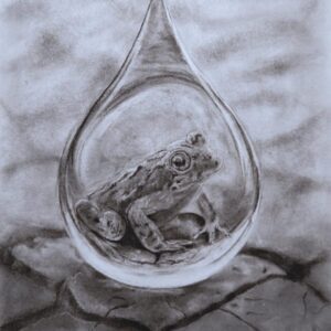 The Cape Microfrog 2