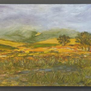 Winter Fields