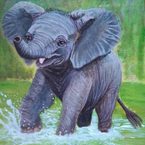 Splash of Pure Joy
