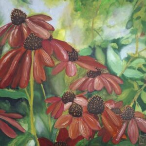Echinacea