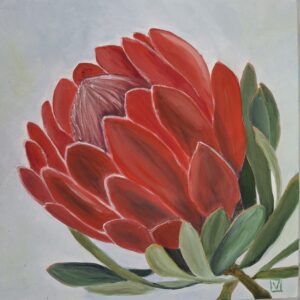Protea