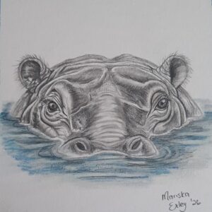 Beneath the Surface