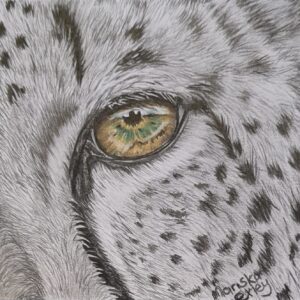 Eye of the Savannah