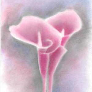 Lilies - Dark Pink
