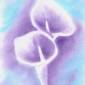 Lilies - Purple