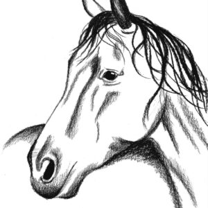 Line Art Horse 1