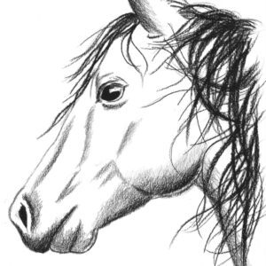 Line Art Horse 3