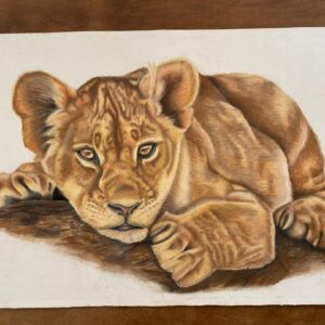 Resting Lion cub