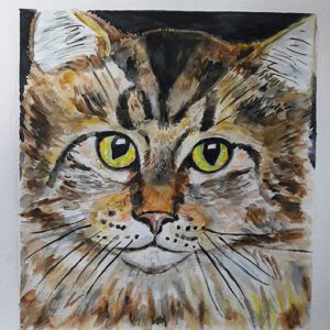 Cat 2