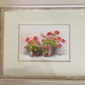 Geraniums