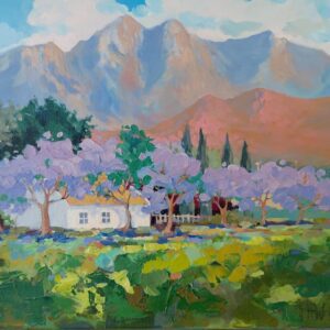Jacaranda trees Robertson