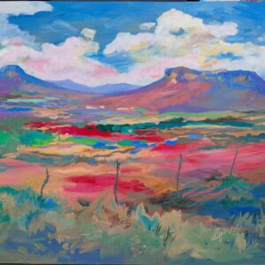 Nietsgeldenfontijn karoo