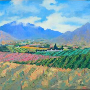 Rawsonville Mountains in Spring