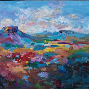 Storms Karoo