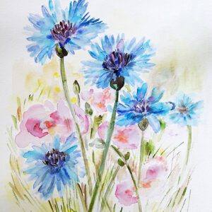 Wild flowers