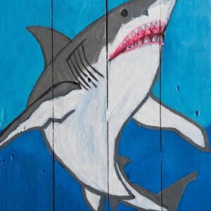 Predator Great White