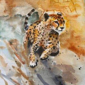 Cheetah