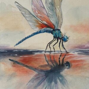 Dragonfly