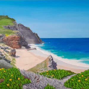 Diaz Beach at Cape Point