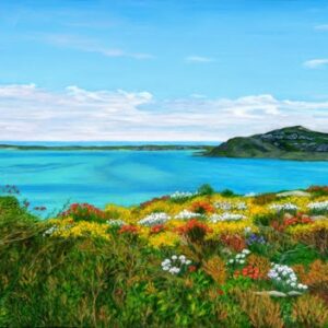 Langebaan in Spring