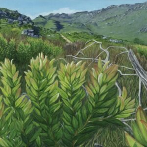 Silvermine Mountain Trail