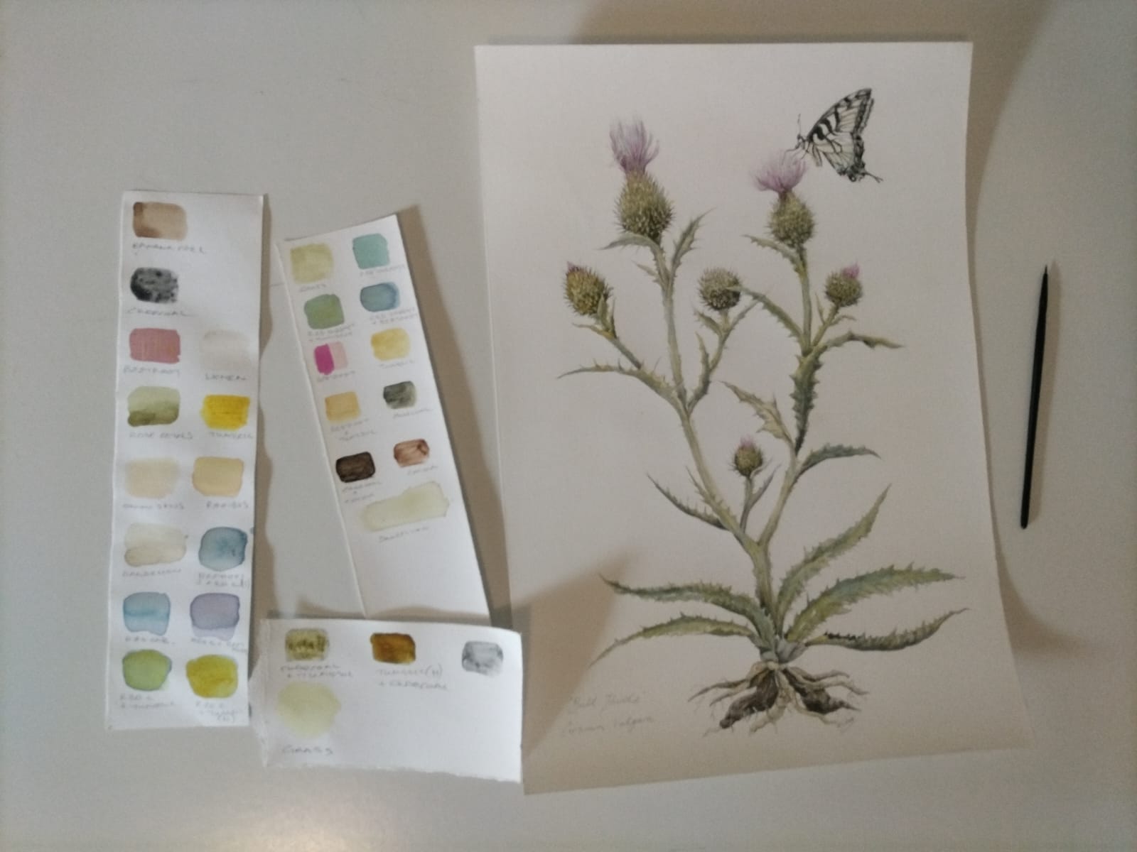 November 14, Painting Botanicals in Natural Pigments - Image 2