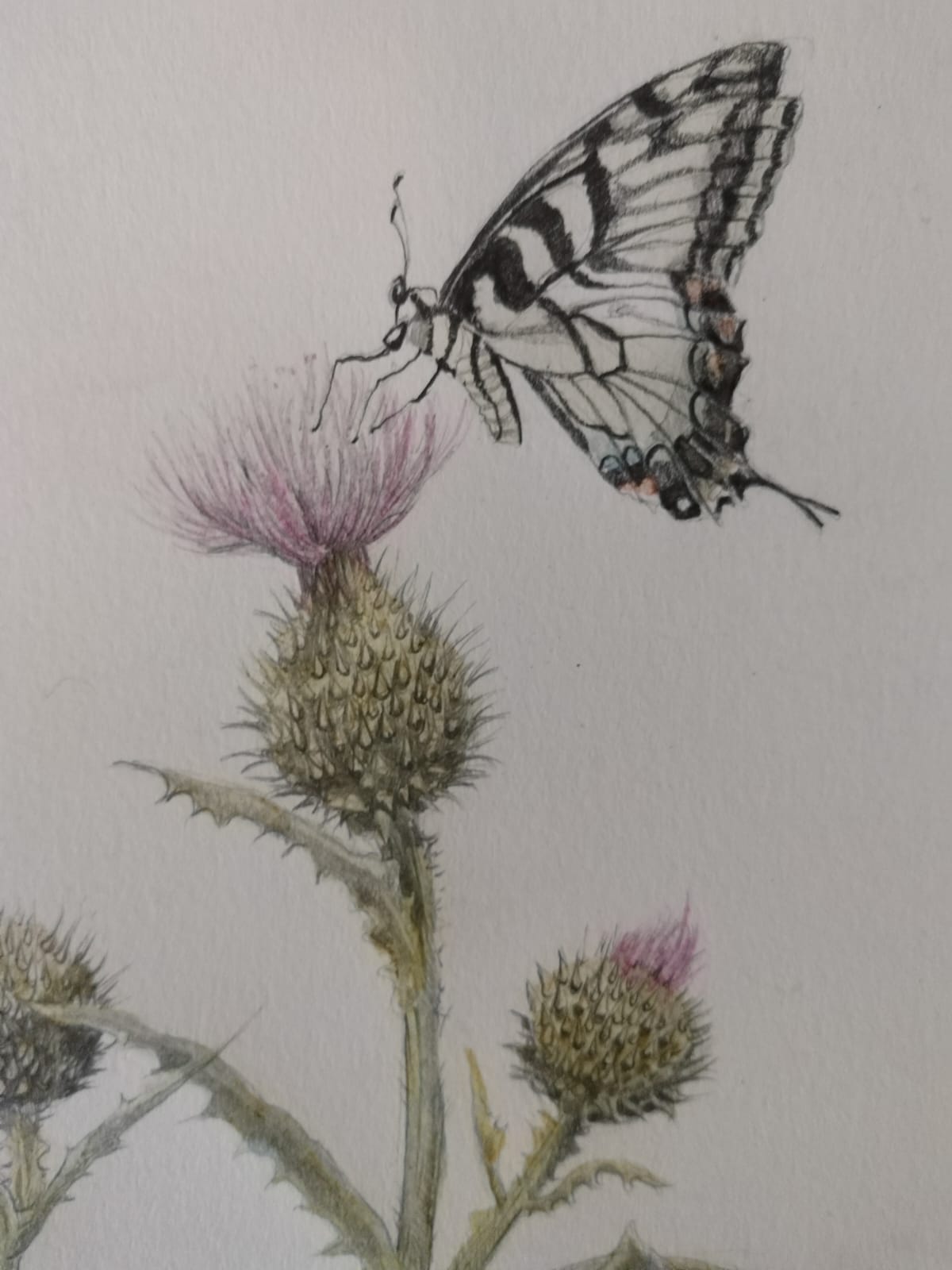 November 14, Painting Botanicals in Natural Pigments - Image 3