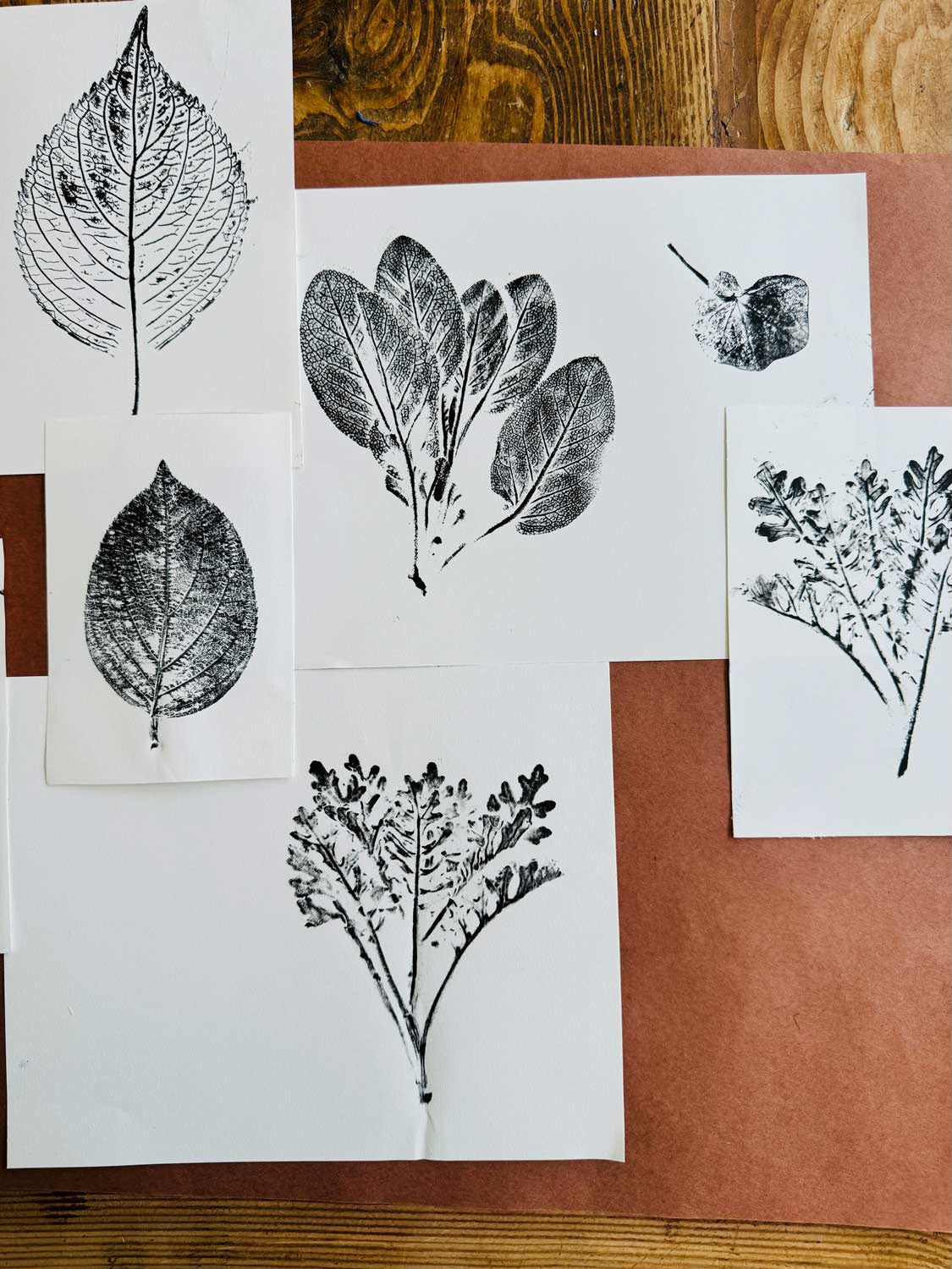 November 13, Botanical Print Workshop - Image 2